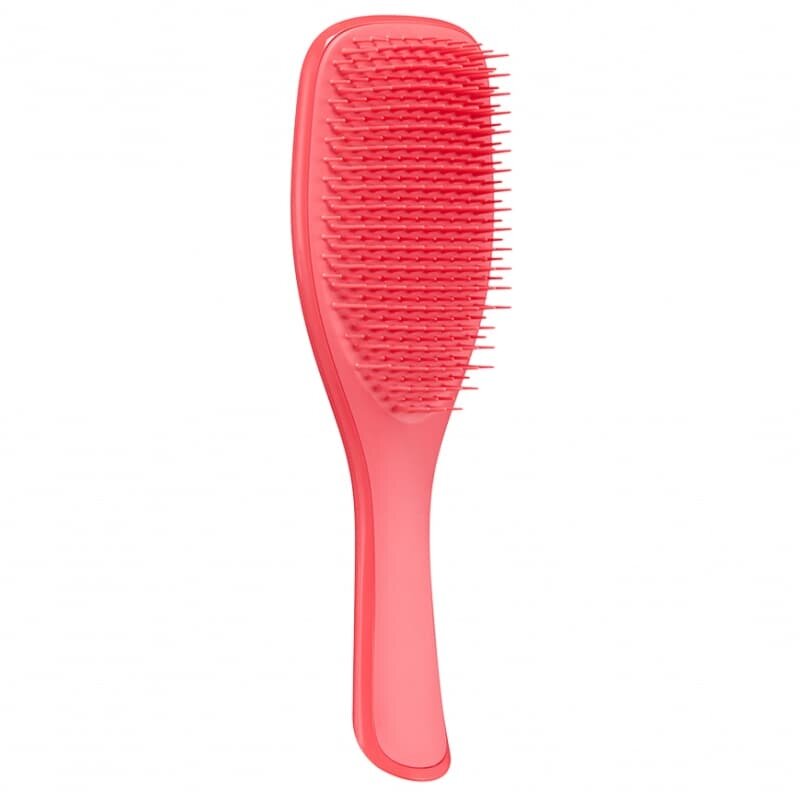 Щітка для волосся Tangle Teezer The Ultimate Detangler Pink Punch — Фото 1